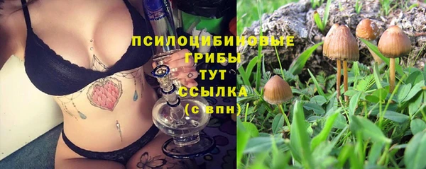 таблы Ладушкин