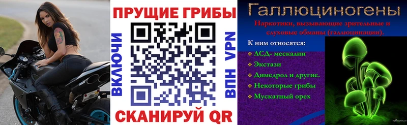Галлюциногенные грибы мицелий Купить Учалы