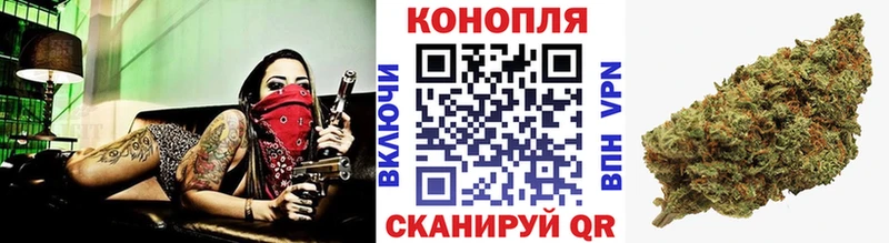 Конопля сатива Учалы